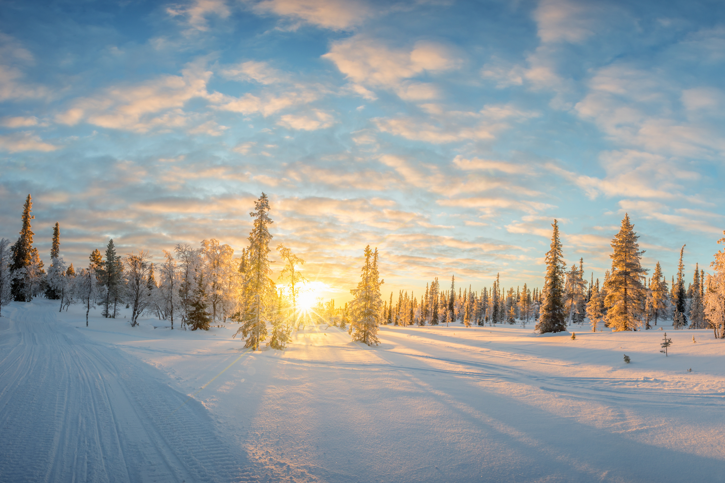 saariselkä (2).webp